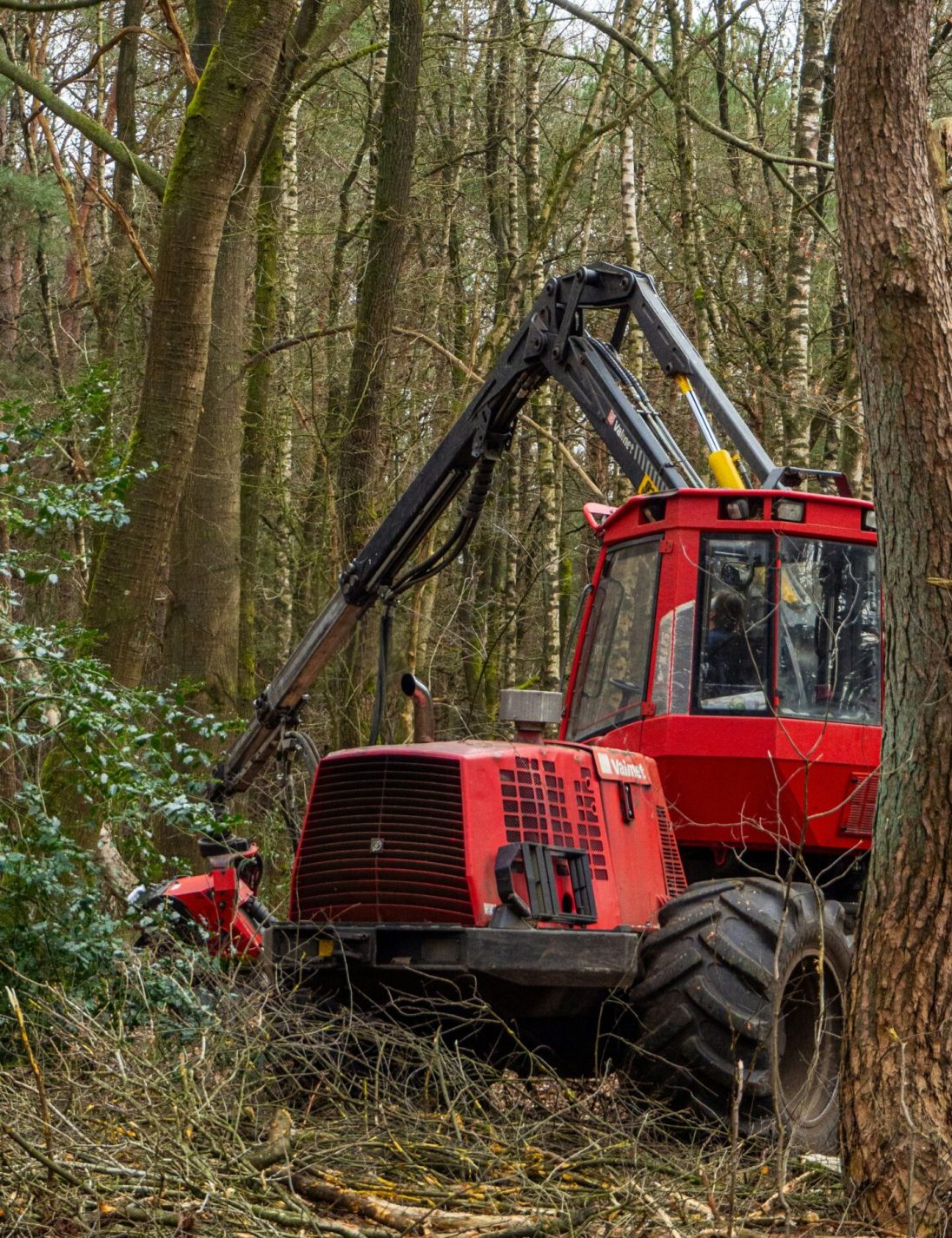 wim-van-t-einde-NB7Te7aC0Lk-unsplash